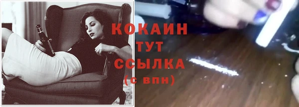 молекула духа Кинешма
