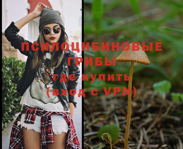 молекула духа Кинешма