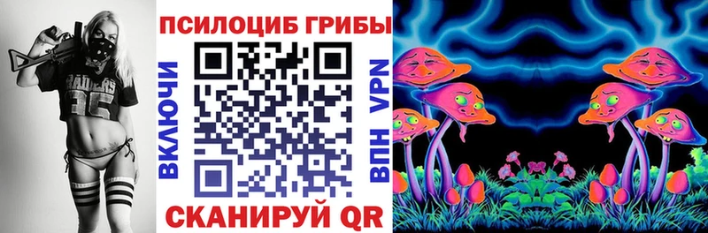 Купить закладки  Глазов  Псилоцибиновые грибы GOLDEN TEACHER 