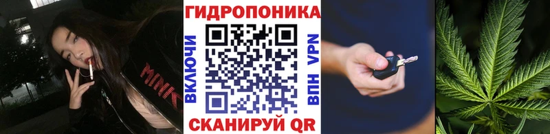 Купить закладки  Глазов  МАРИХУАНА Amnesia 